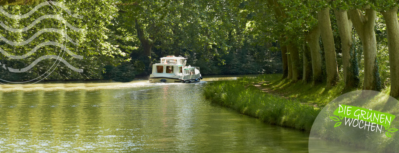 Die grünen Wochen – Für mehr Platanen am Canal du Midi