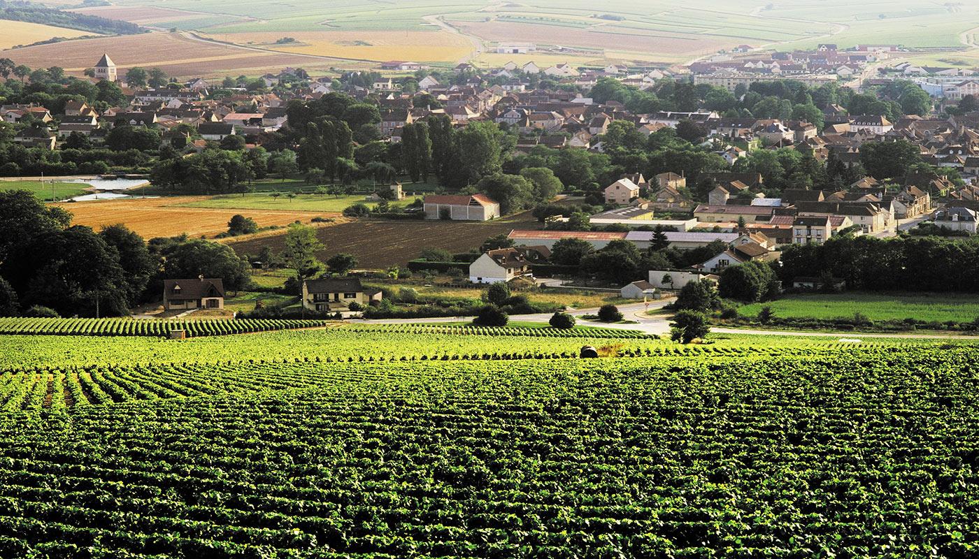 Burgundy Saône