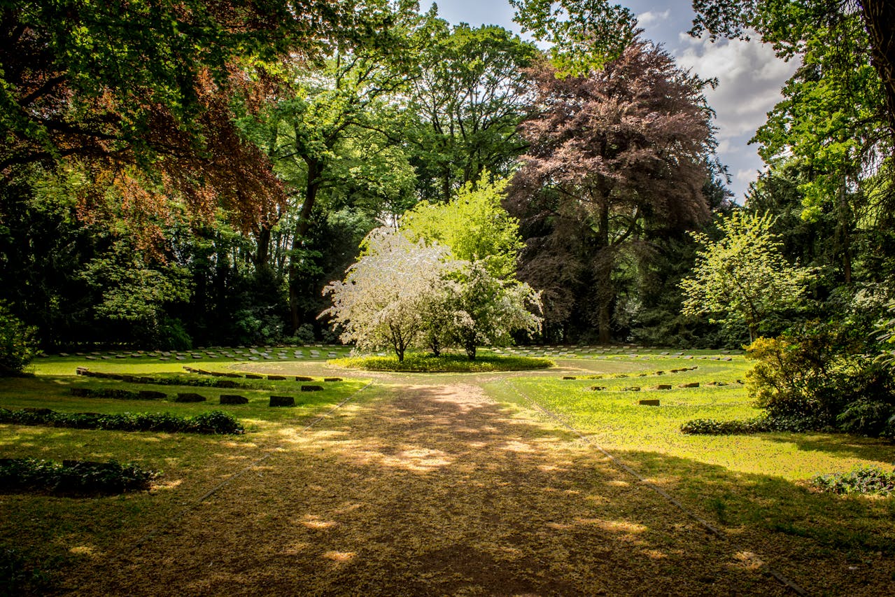 4 jardins remarquables accessibles en Pénichette