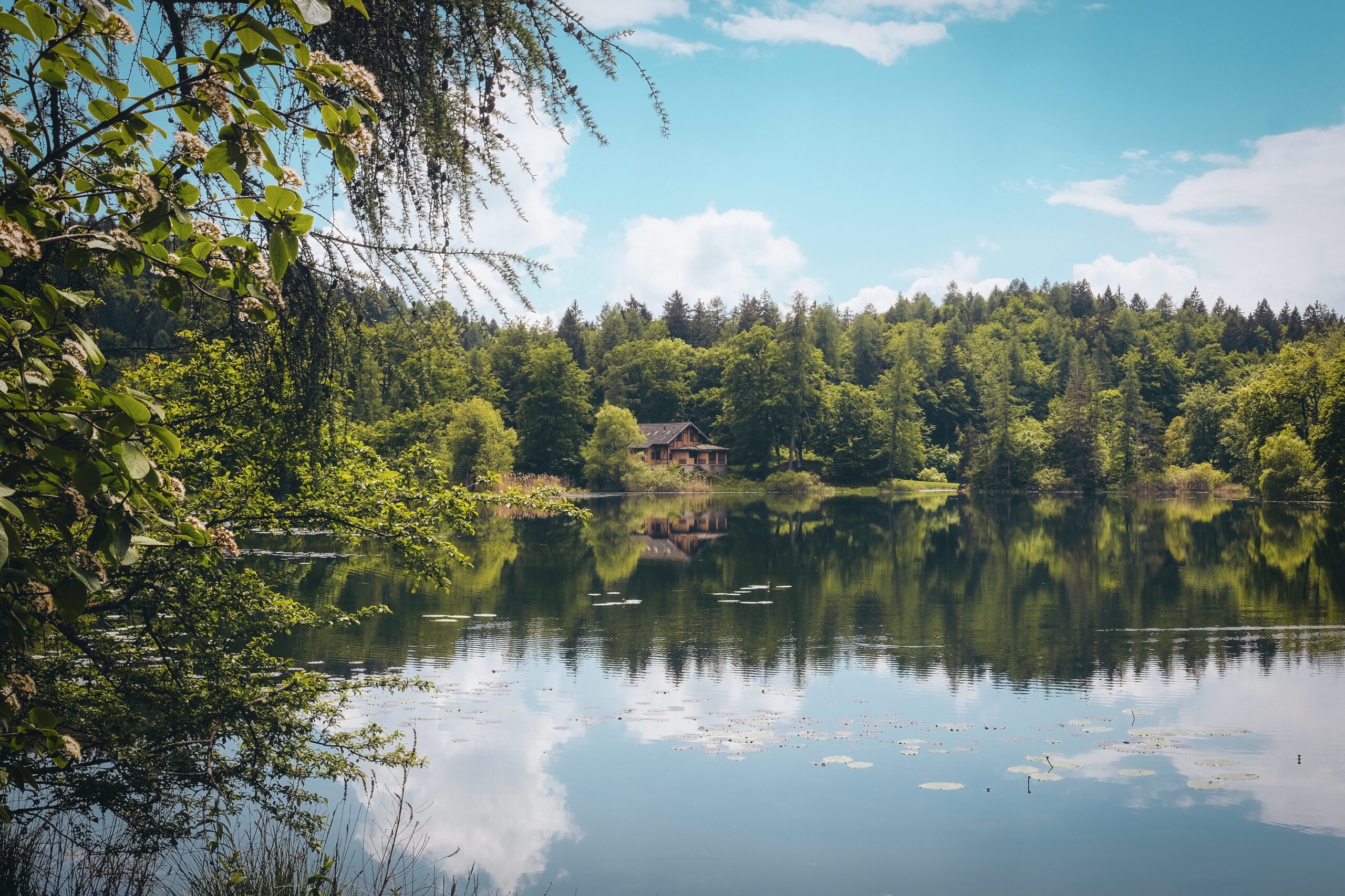 Hausboot Mosel mieten ohne Führerschein